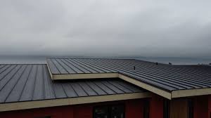 Best Roof Maintenance and Cleaning  in Angels, CA